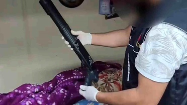 Sakarya'da Bonzai Operasyonu: 42 Kilogram Ele Geçirildi