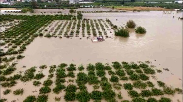 Hatay'da Asi Nehri Taşarak Tarım Arazilerini Sular Altında Bıraktı