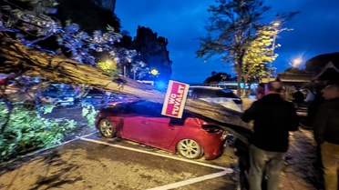 Bartın'da Fırtına Ağaçları Devrip Araçları Zarar Verdi