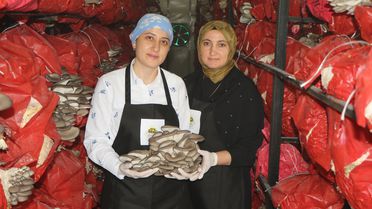 Samsun'da Kadın Girişimcilerden Sağlıklı Kütüphane