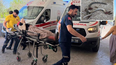 Gider deliğine sıkıştırdığı yılana ateş açtı, evin dışındakileri vurdu: 5 yaralı