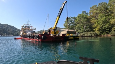 Deniz Çayırlarını Koruma Projesi