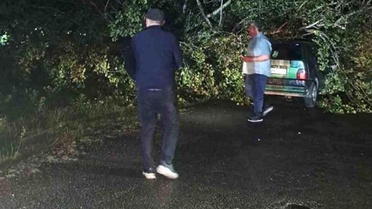 Bartın'da fırtına ağaçları devirdi, araçlara zarar verdi