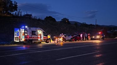 Bingöl'de Otomobil İneğe Çarptı