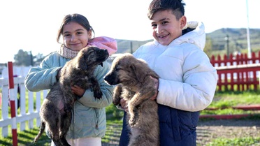 Büyükşehir'den Dikili'ye tam teşekküllü sokak hayvanları kampüsü