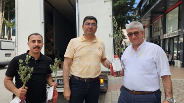 Başkan düğününde zeytin fidanı dağıttı