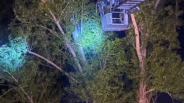 Dronunu Almaya Çıkan Kişi Ağaçta Mahsur Kaldı
