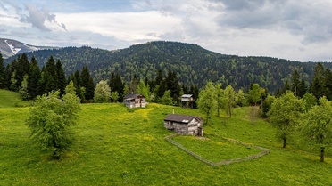 Trabzon Yaylalarında Doğayla Buluşma