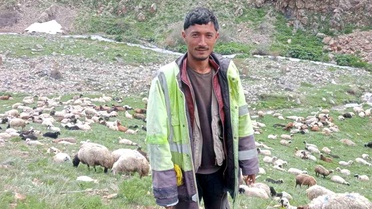 Ağrı'da Çoban Cinayeti: Zanlı Yakalandı