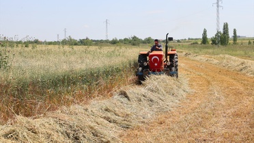 Edirne'de Mera Islahı ile Hayvancılığa Destek