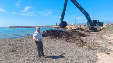 Sultaniçe'de Sahil Temizliği Başladı