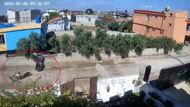 Reyhanlı'da Motosiklet Kazası: İki Genç Yaralandı