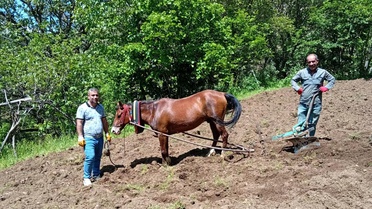 Hizan'da Geleneksel Tarım Uygulamaları