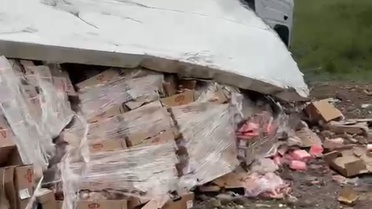 Tavuk Yüklü TIR Devrildi: 2 Yaralı