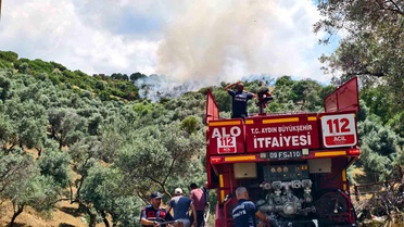 Yenipazar'daki otluk alan yangını kontrol altına alındı