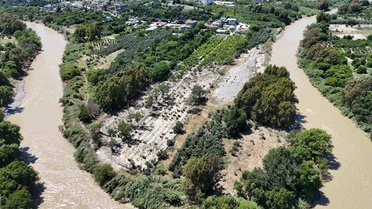 Hatay'da Sel Felaketi: Zeytin Ağaçları Zarar Gördü