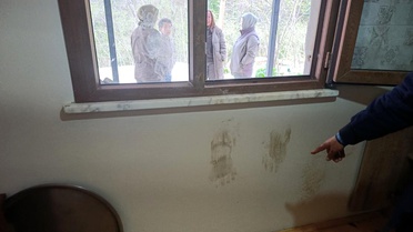 Giresun'da Ayılara Müdahale Kararı