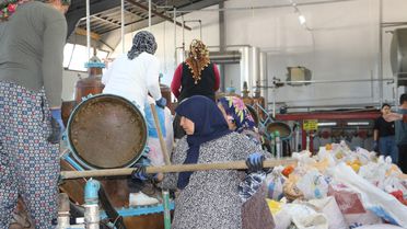 Isparta'da Gül Hasat Sezonu Başladı
