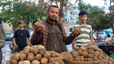 Görüntüsü patates gibi olsa da lezzeti çok başka: Kilosu 2 bin TL'den kapış kapış gidiyor 