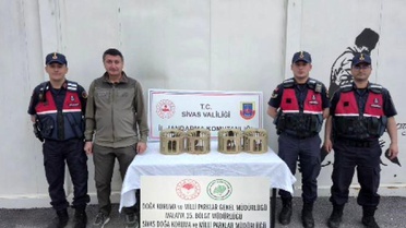 Kınalı Keklikler Doğaya Salındı