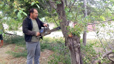 Yarımca Köyü'nde Doğa Yenileniyor