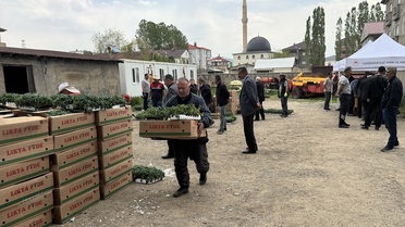 Yüksekova'da 155 Bin Sebze Fidesi Dağıtıldı