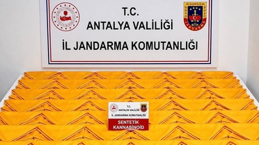 Alanya'da Uyuşturucu Operasyonu: Zanlı Tutuklandı