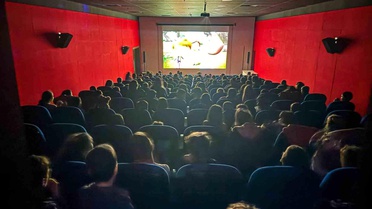 Aydın'da Sinema ve Tiyatro İstatistikleri