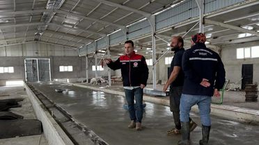 Bayburt'ta Hayvancılık Kapasite Değerlendirmesi