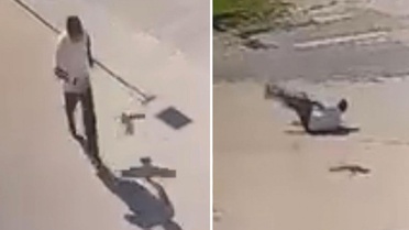 Kendisine saldıran kargadan kaçarken taklalar attı