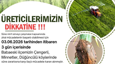 Kırklareli'nde Süne Zararlısına İlaçlı Mücadele