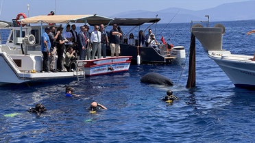 Bodrum'da Hayalet Ağ Temizliği ve 25 Bin Yavru Levrek Bırakıldı