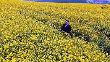 Trakya'da Ayçiçeği Ekimi Azalıyor