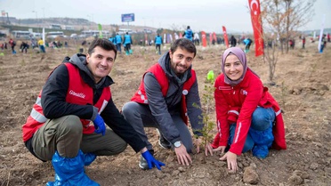 Hastaya Kan, Ormana Can Projesi İlerlemede