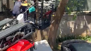 Kadıköy'de Yavru Kedi Kurtarıldı