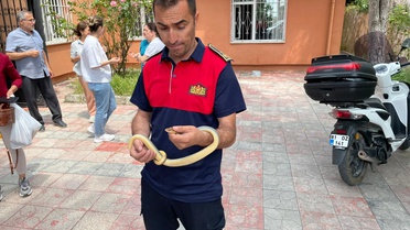 Aile Sağlığı Merkezi'nde Yılan Paniği