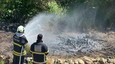 Antakya'da Zeytinlikte Yangın Kontrol Altında