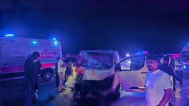 Bingöl'de minibüs ata çarptı: 1 ölü, 2 yaralı