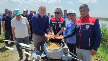 Edirne'de Dronla Çeltik Ekimi