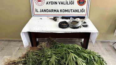 Aydın'da Uyuşturucu Operasyonu: 1 Tutuklama