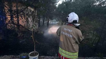 Hassa'da Çamlık Yangını Kontrol Altına Alındı