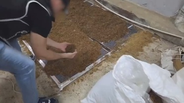 İstanbul'da Kaçak Tütün Operasyonu: 22 Gözaltı