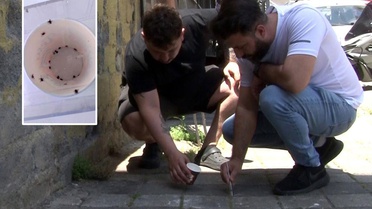 Koca bir mahalleyi keneler istila etti, vatandaşlar cımbızlarla toplamaya başladı