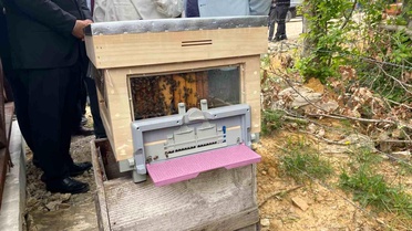 Sinop'ta 913. Bal Ormanı Açıldı