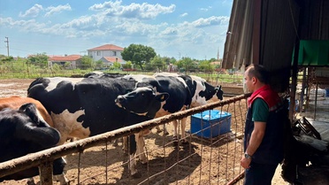 Edirne'de Hastalıktan Ari Sertifika