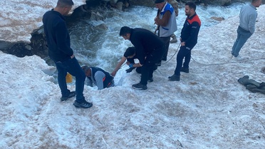 Hakkari'de Mahsur Kalan İnek Kurtarıldı