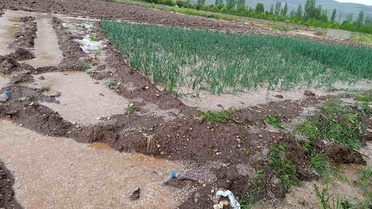 Malatya'da Dolu ve Sağanak Tarımı Vurdu