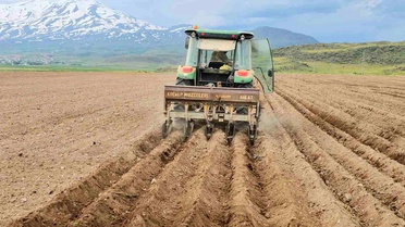 Aydınlar'da Fasulye Ekim Sezonu Başladı