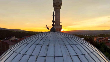 İhsangazi'de Leyleklerin Camii Keyfi