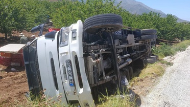 Malatya'da tavuk yüklü kamyon devrildi